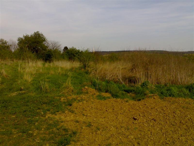200704091729 .jpg